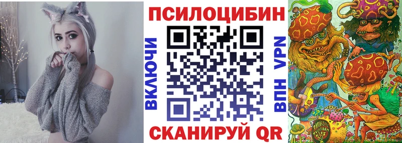 Псилоцибиновые грибы Psilocybe  купить   Цивильск 