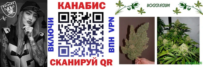 ОМГ ОМГ ССЫЛКА  Цивильск  Бошки Шишки White Widow 
